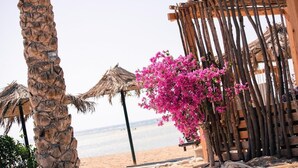 Une scène de plage avec un palmier, une structure en bois ornée de fleurs roses et des parasols en chaume.