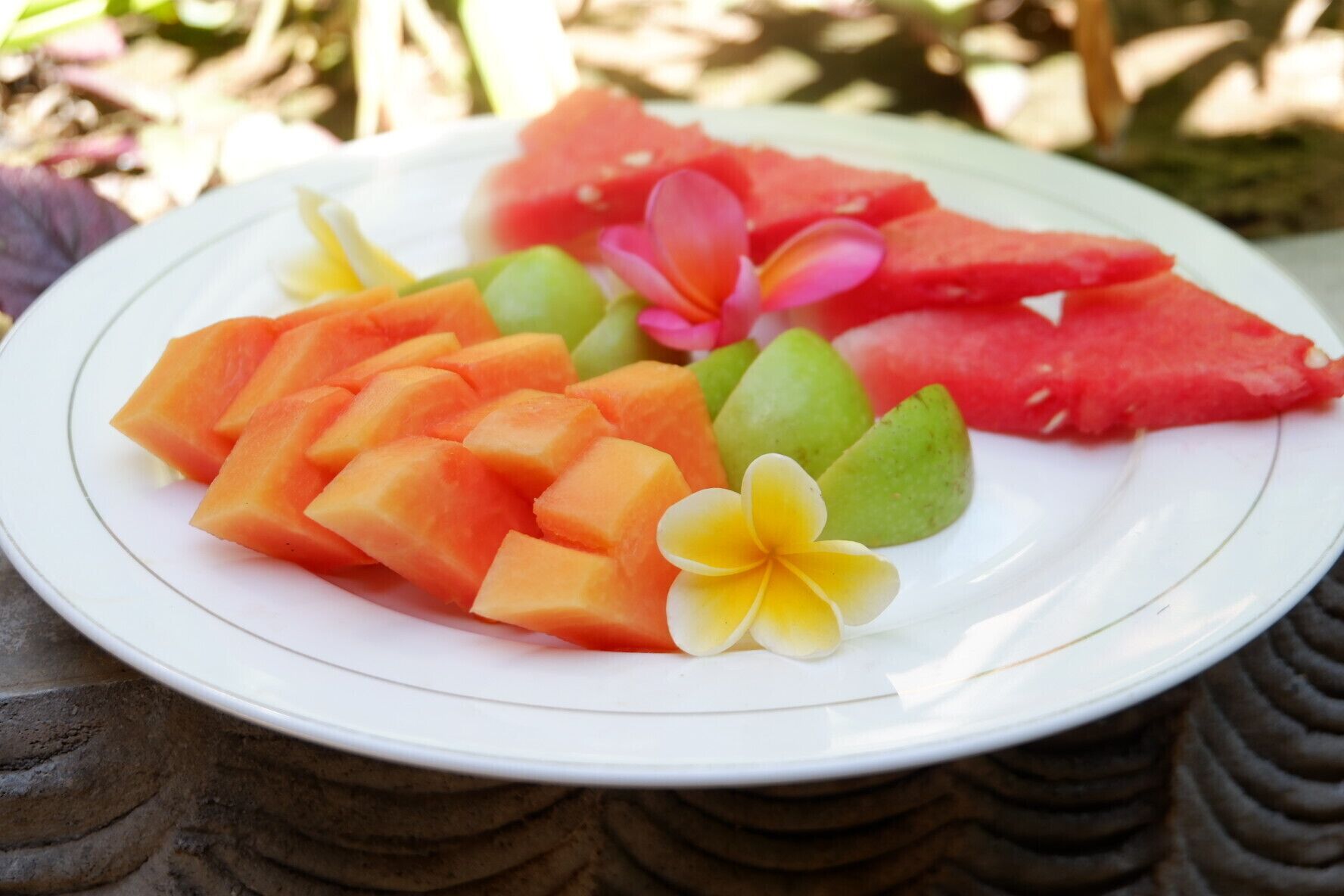 Foto - Tropical Garden Inn