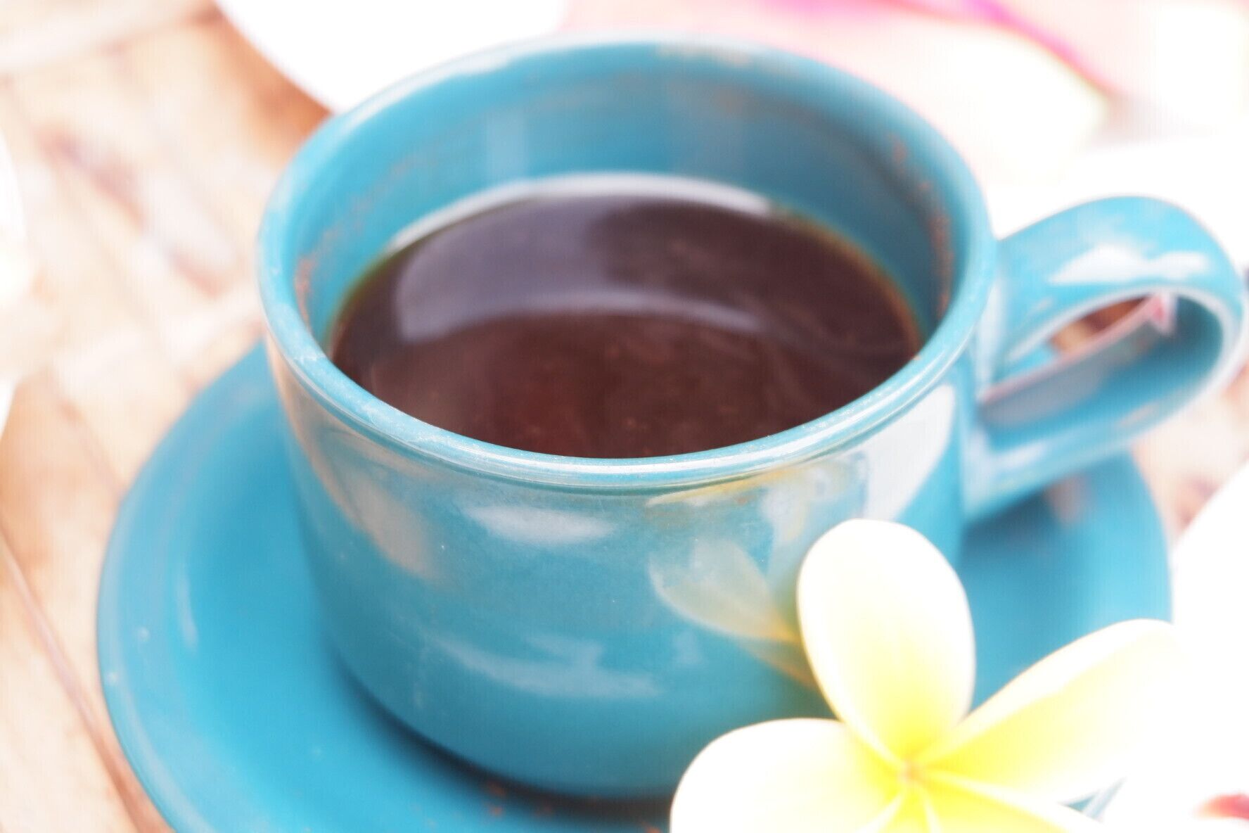 Foto - Tropical Garden Inn