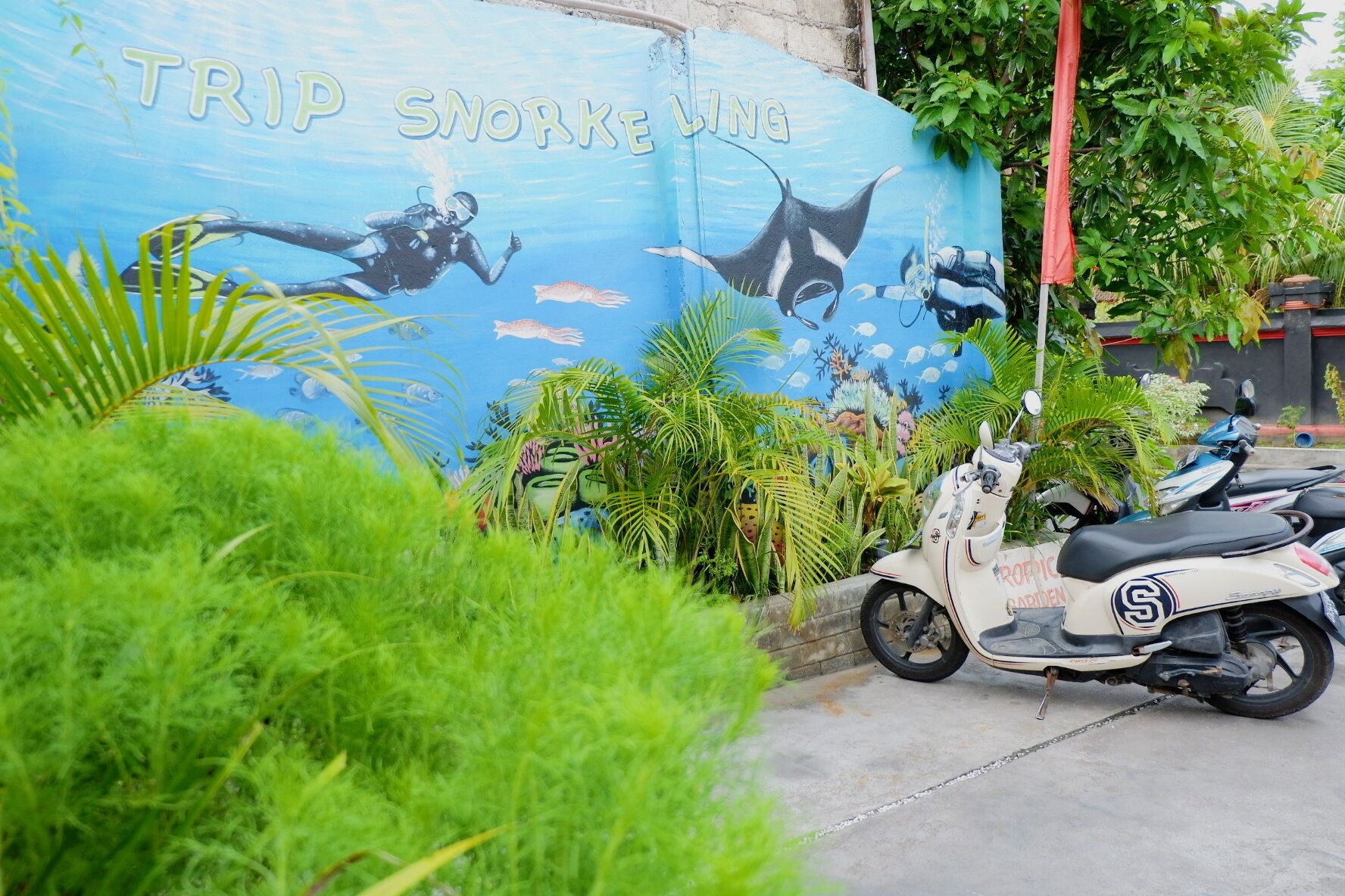 Foto - Tropical Garden Inn