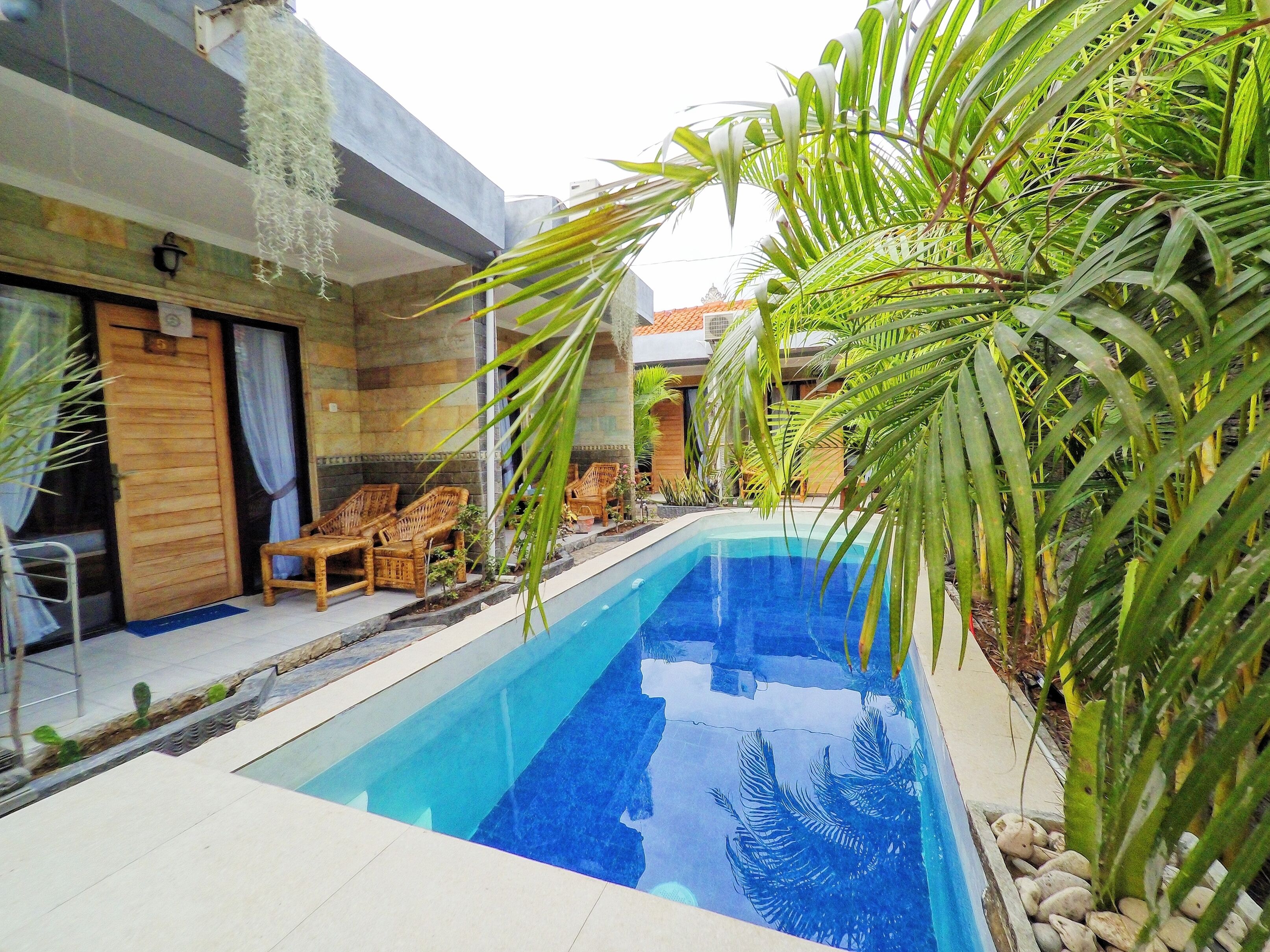 Foto - Tropical Garden Inn