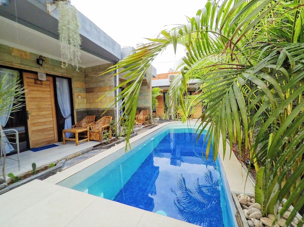 Outdoor pool, sun loungers