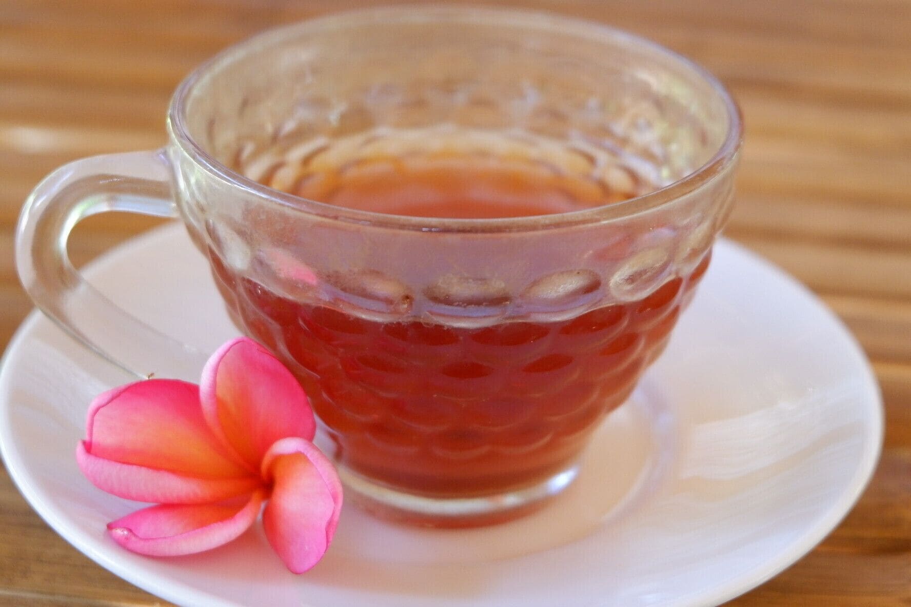 Foto - Tropical Garden Inn