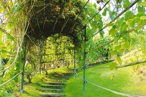 Área da propriedade