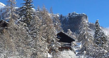Renovated chalet for 9 people with pets allowed, St Michel de Chaillol