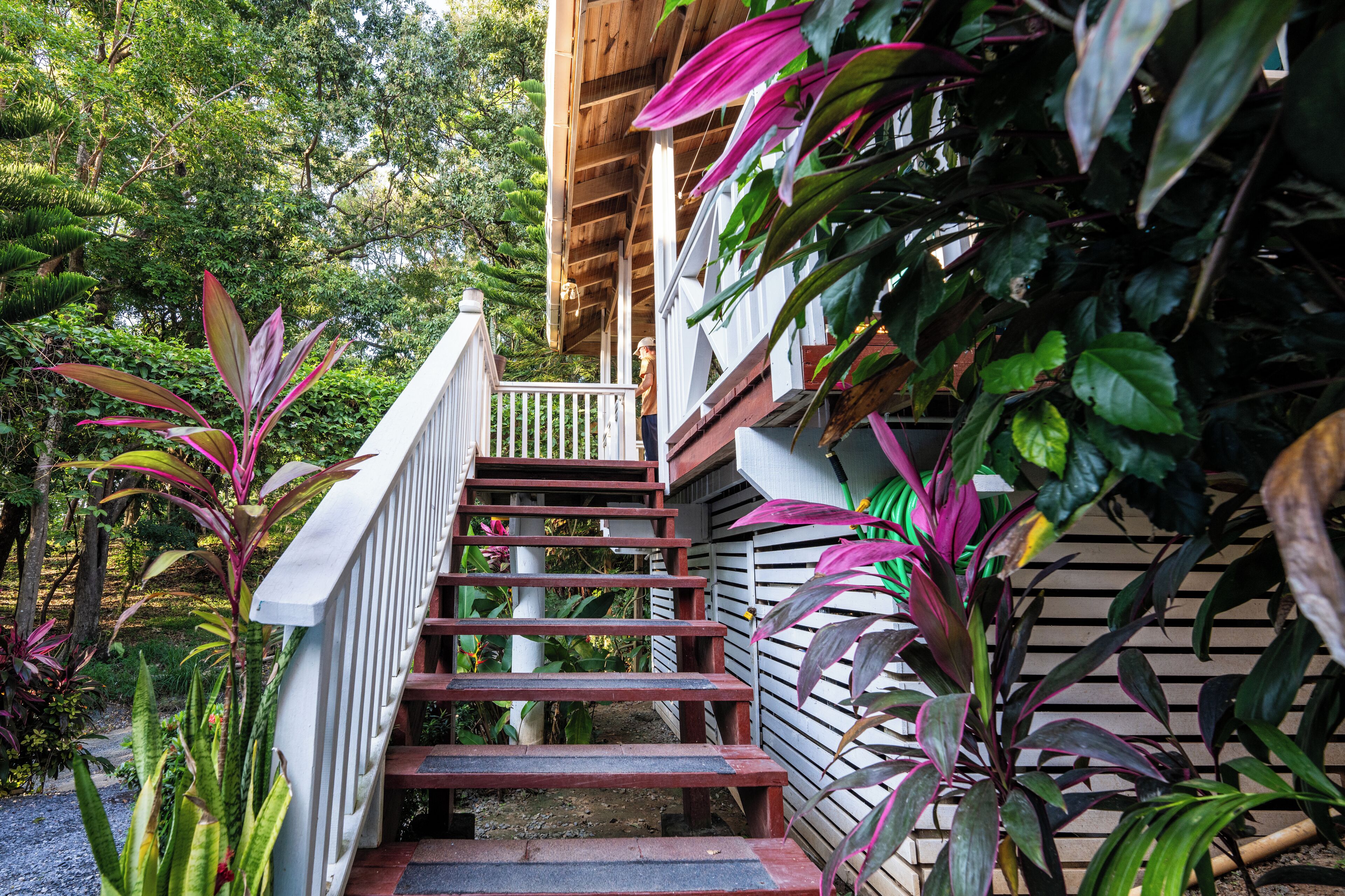 Gecko Bungalow | View from room