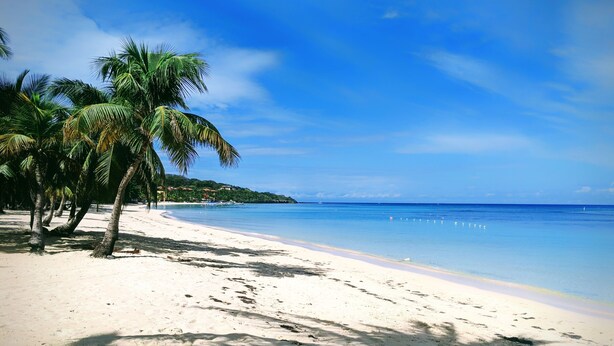 Ein Strand mit weißem Sand, Palmen und klarem, blauem Wasser.