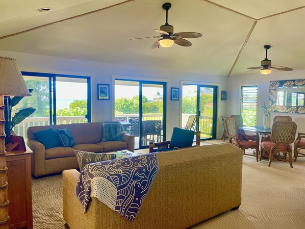 Smart TV, DVD player, books, video library