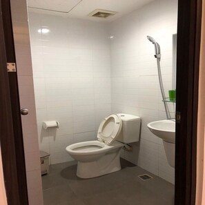 Hair dryer, towels, soap