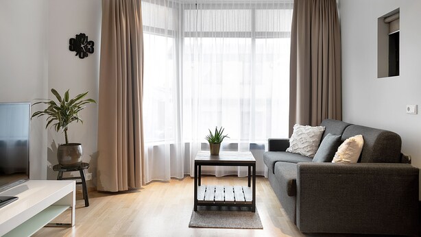 A modern living room with a grey sofa, a small black table with a plant, and a TV on a white stand. - Downtown Apartment by Old Harbor (Reykjavík)
