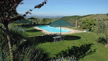 Relax by the serene pool surrounded by lush greenery and manicured lawns.