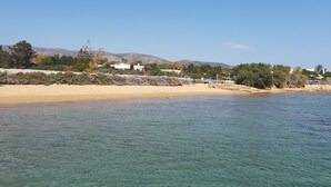 Ein Strand mit klarem Wasser, sandigem Ufer und Gebäuden im Hintergrund.