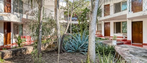 Jardin