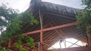 Front of property - Casa Aquarius (San Pedro Pochutla)