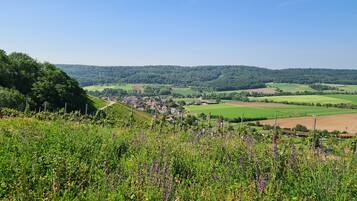 Un paisaje rural con un pueblo, campos verdes y colinas al fondo.