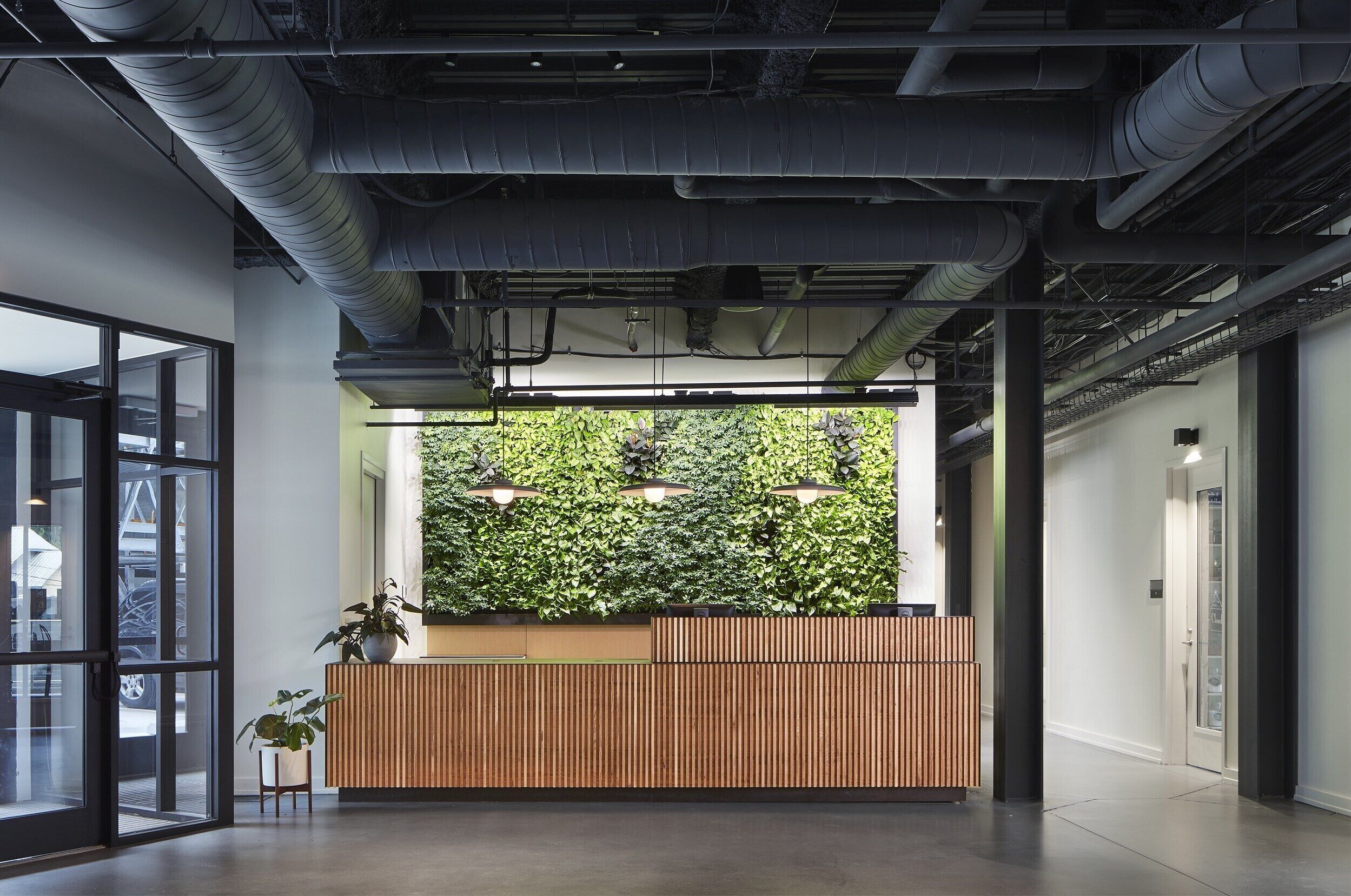 An indoor reception area with a wooden reception desk, a green wall with plants, and a glass door leading outside.