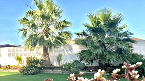 A garden with palm trees, a lawn, and various plants. - Villa Blanca views and pool (Níjar)