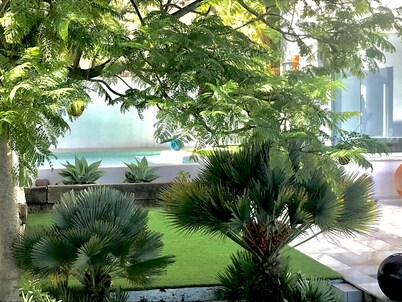 Villa Blanca views and pool