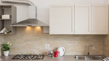 Kühlschrank, Mikrowelle, Herdplatte, Geschirrspüler