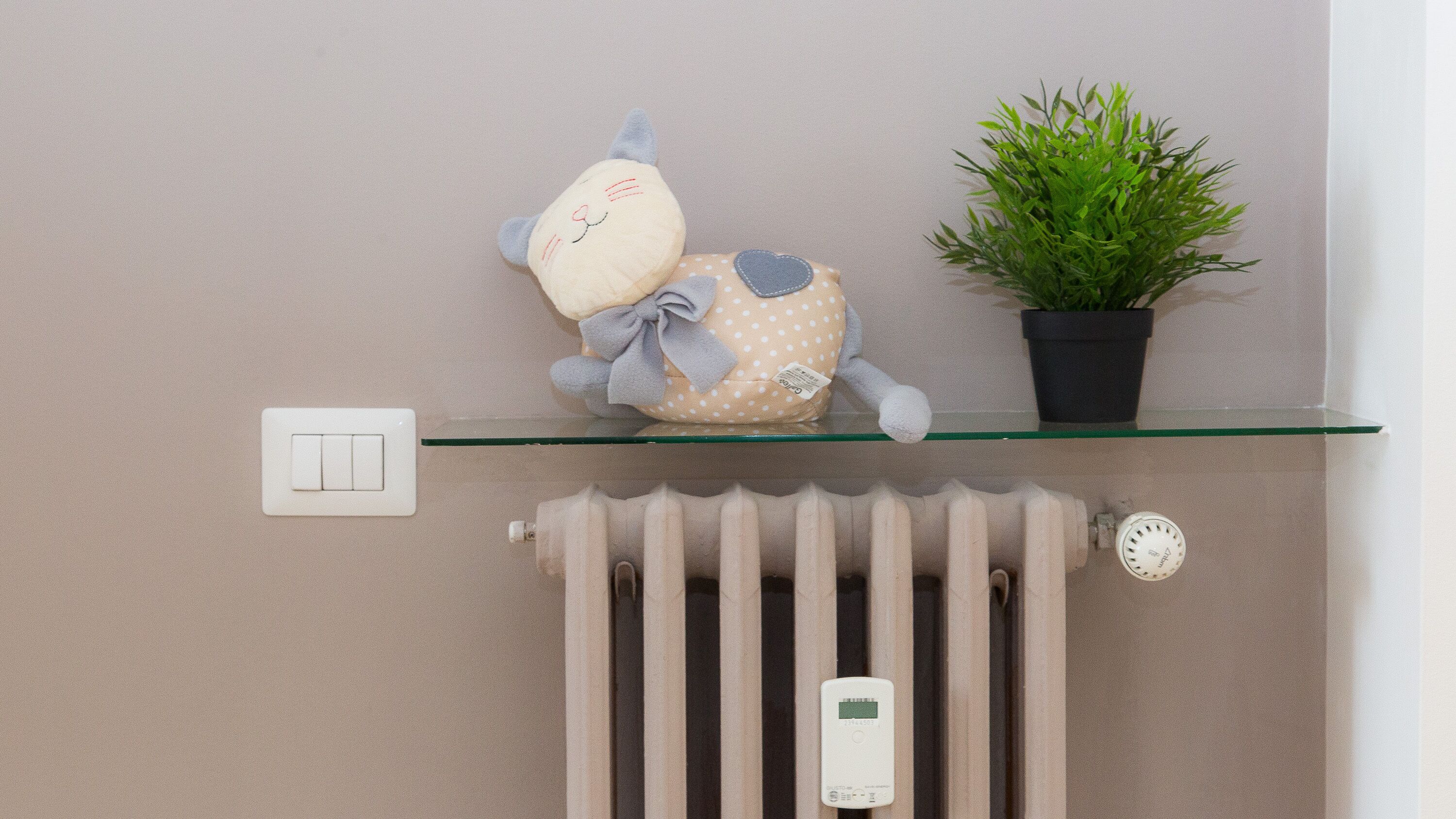 A radiator with a thermostat, a power outlet, and a shelf with a plush toy and a potted plant.