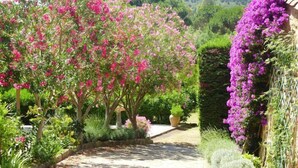 A garden with flowering trees and a pathway. - Villa in Roquebrune with Sea View & Pool (Roquebrune-sur-Argens)
