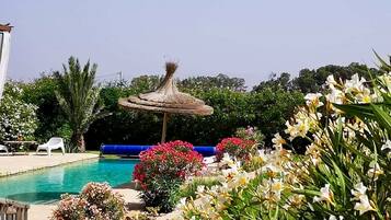 Kolam renang outdoor, dengan payung kolam renang dan kursi berjemur