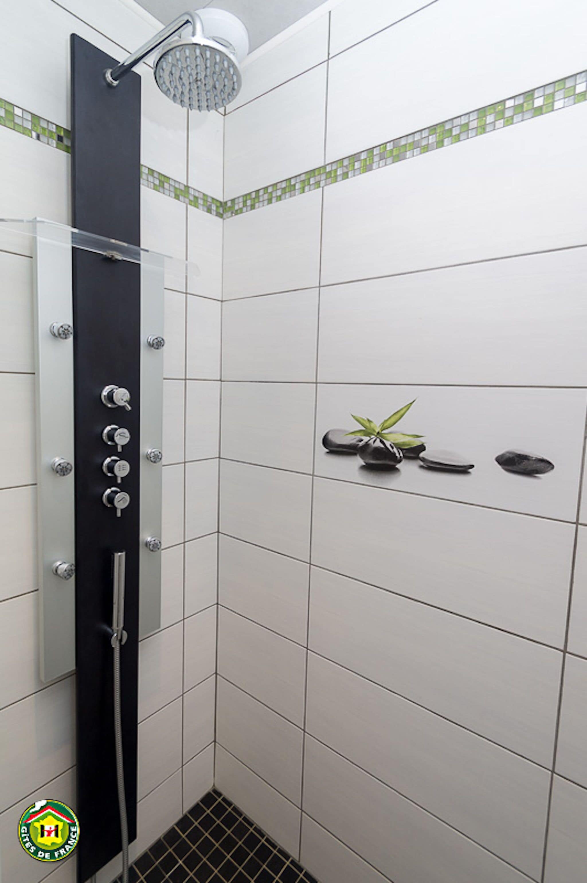 Une douche dotée d’un panneau de commande vertical, d’un pommeau de douche à effet pluie et d’une petite plante en pot fixée au mur.