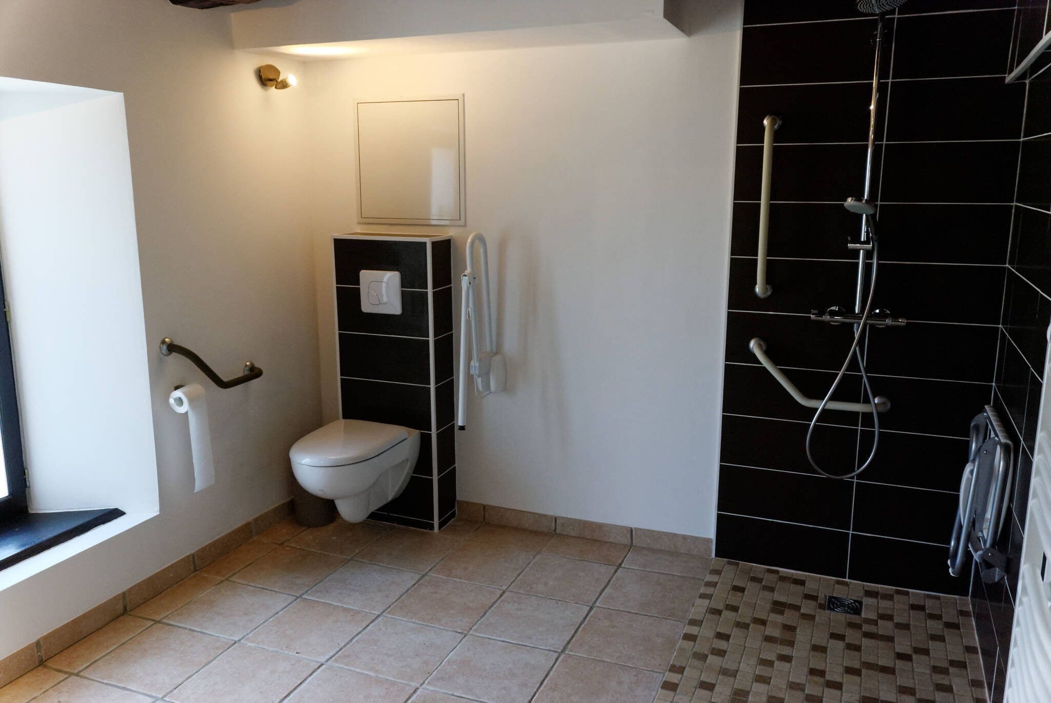 A bathroom with a toilet, a shower, and a mirror.