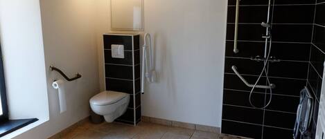 A bathroom with a toilet, a shower, and a mirror.