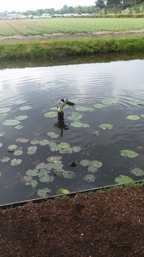 Unclassified image, 3 of 6, button