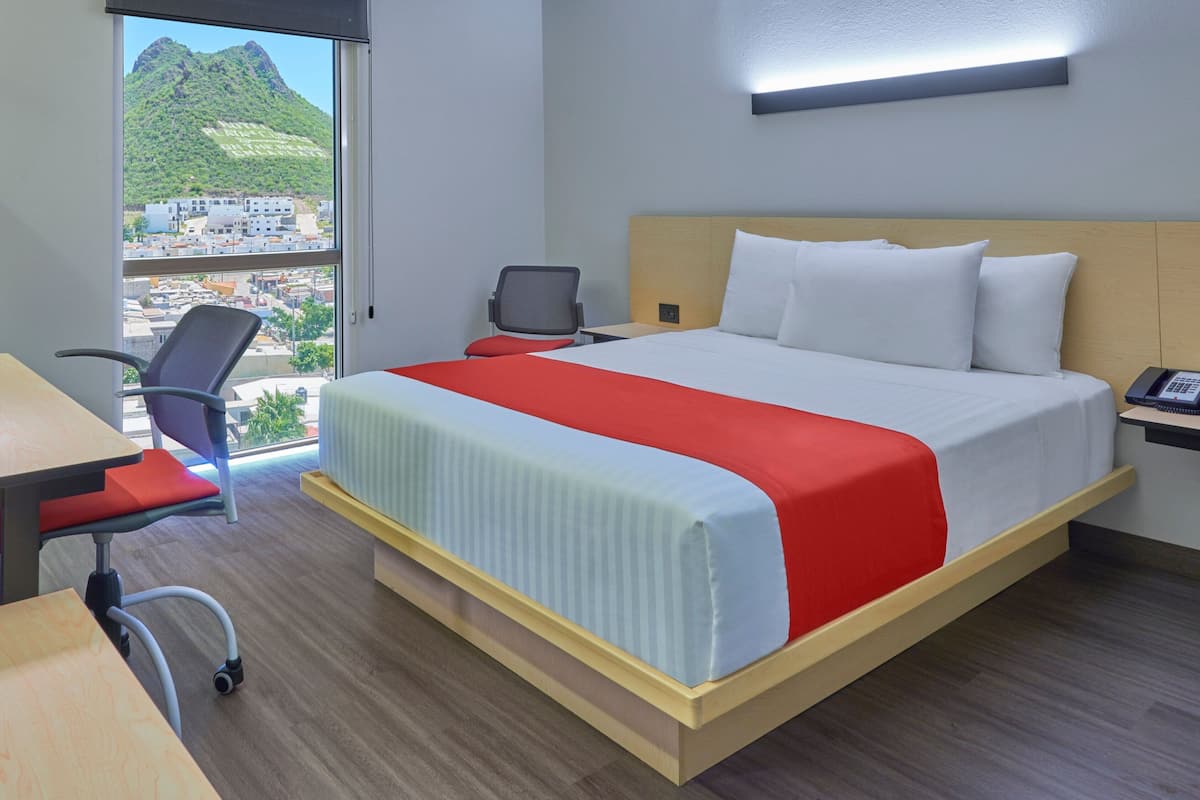 Kamer, 1 queensize bed | Een bureau, een laptopwerkplek, verduisterende gordijnen