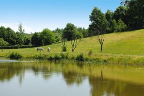 A tranquil outdoor scene with a pond, grassy areas, and trees.