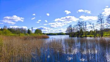 A calm lake with reeds and trees on the banks, under a clear blue sky.