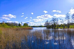 A calm lake with reeds and trees on the banks, under a clear blue sky. - Apartment only 20 m from  Lake in Rekowo (Rekowo)