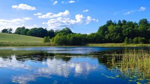 A serene lake with reflections of trees and sky, surrounded by lush greenery.