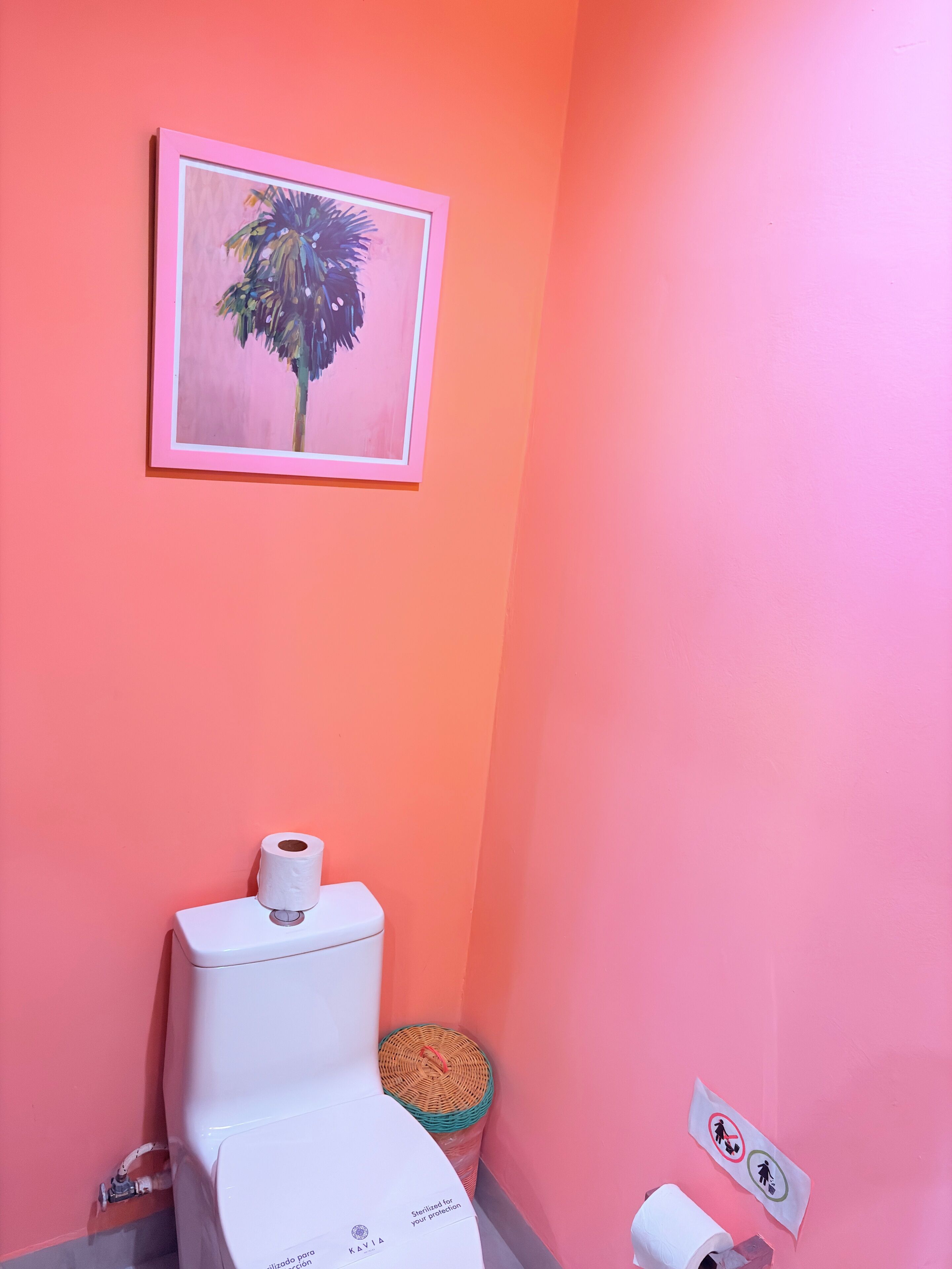 A bathroom with a toilet, a roll of toilet paper, a trash bin, and a wall-mounted picture.