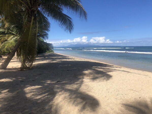 A beach with clear skies, palm trees, and ocean waves. - Veranda del Mar, New Third Bedroom and Huge Pool! (Vieques)