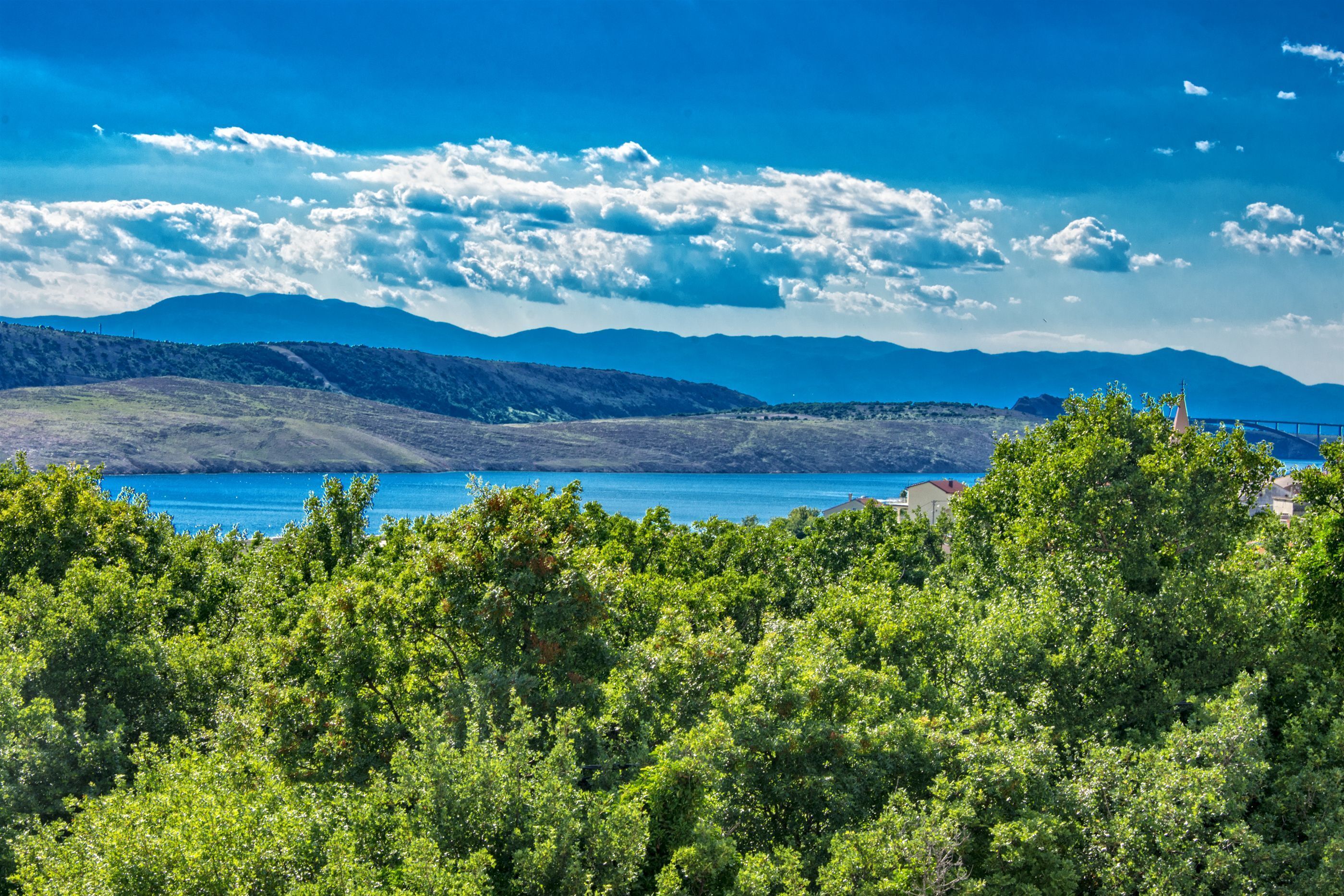 A coastal landscape with dense green foliage, a clear blue sky, and distant mountains.