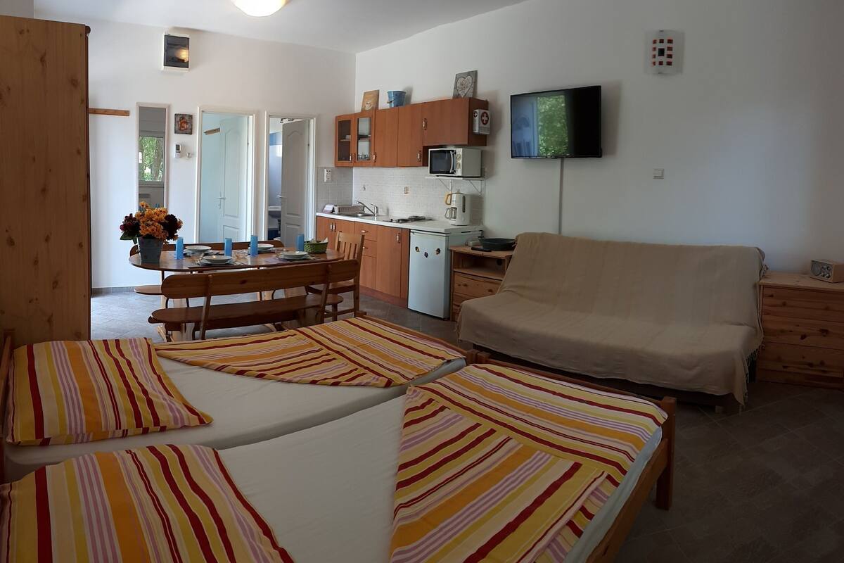 A compact living space with a kitchenette, a dining area, and a sofa.