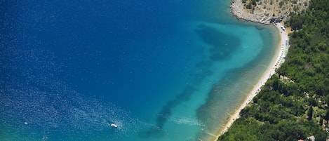 Ranta