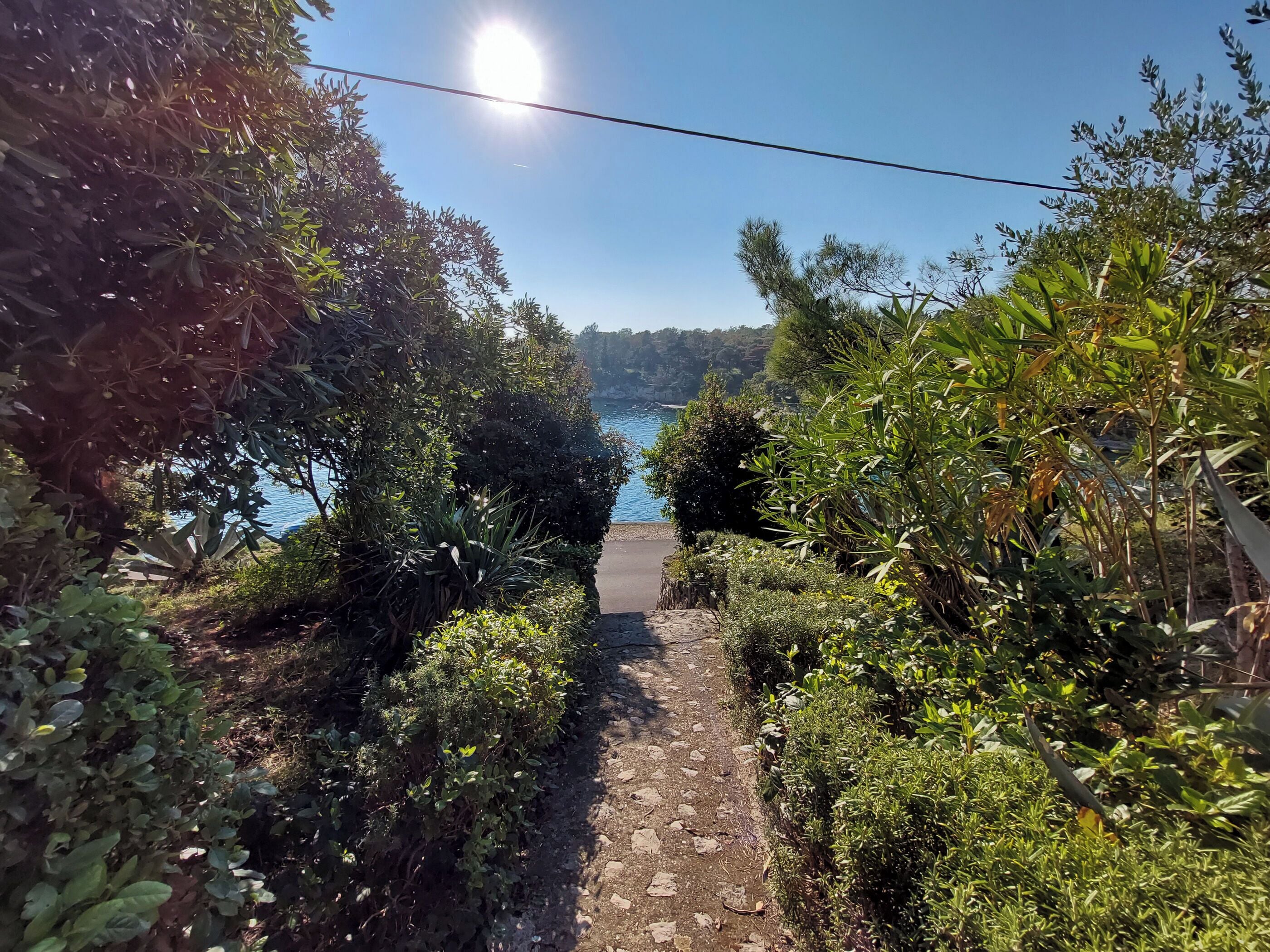 Apartment (A1) | Courtyard