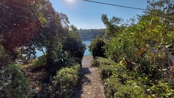 Apartment (A1) | Courtyard