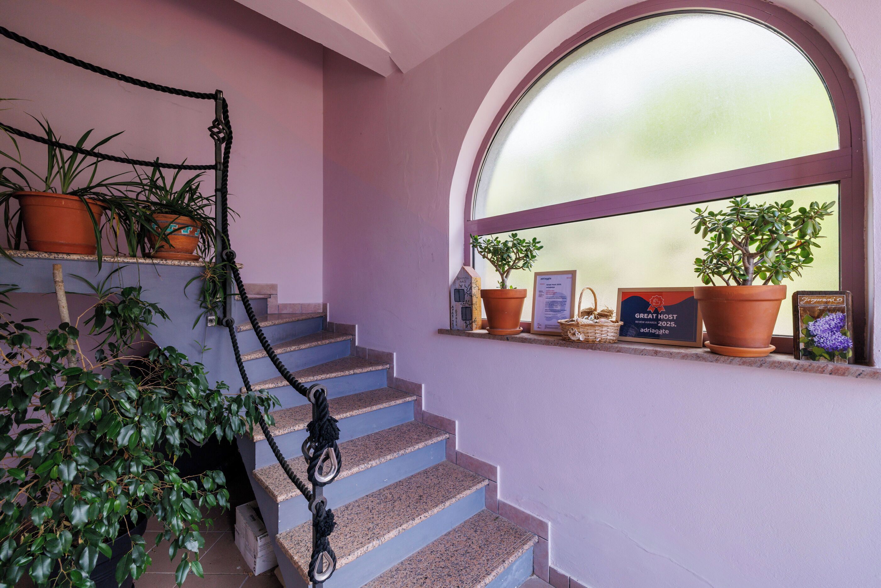 A staircase with blue steps, potted plants, and a window with a view.