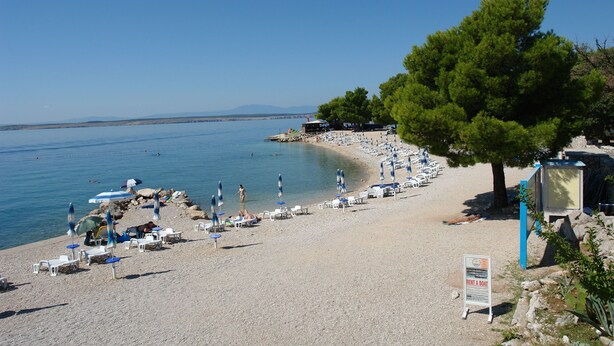 A beach with rows of white lounge chairs and umbrellas, a signboard, and a large tree. - Apartment Color Green (Dramalj)