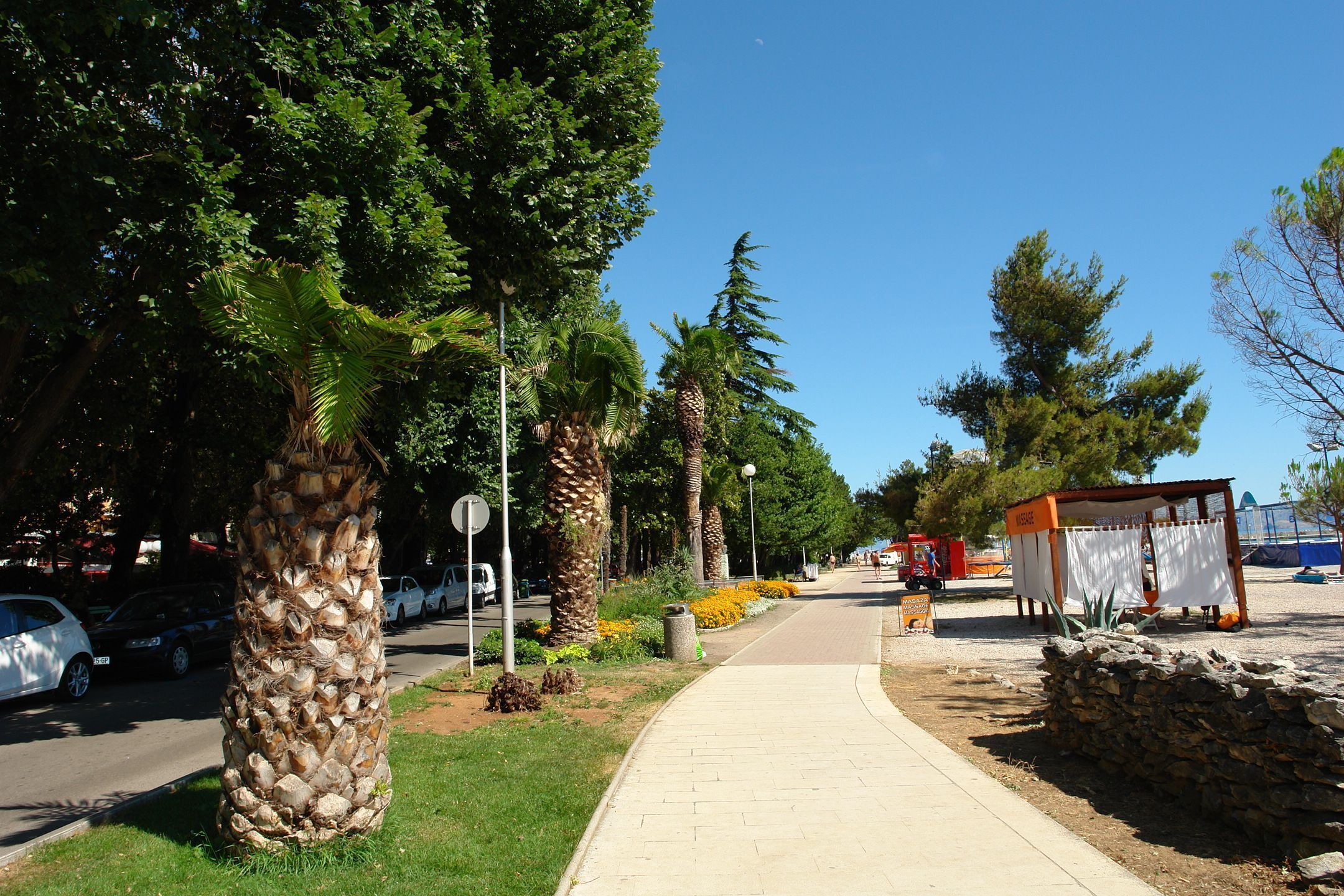 A paved walkway lined with palm trees and a small kiosk.