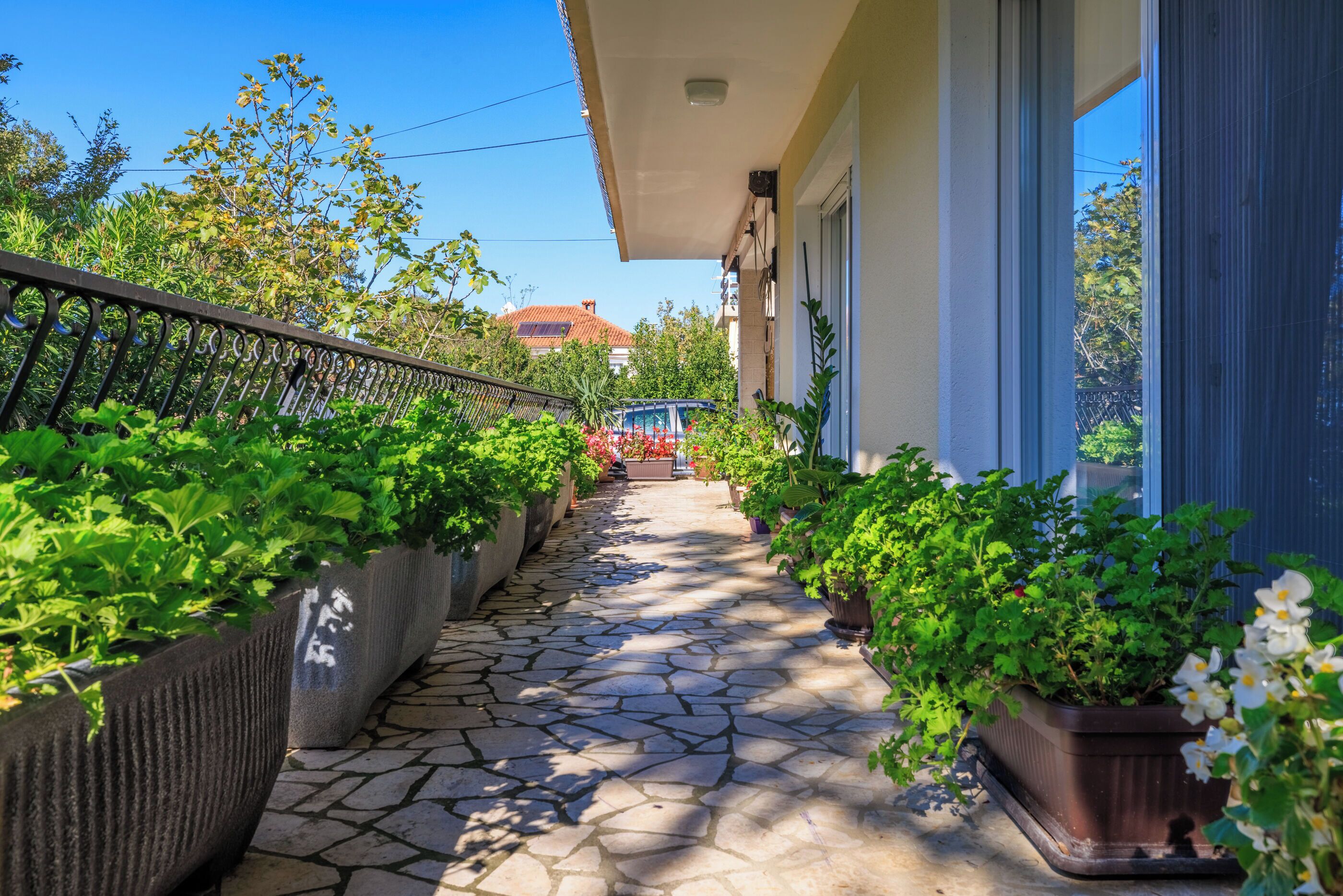 Apartment (A1) | Terrasse/Patio