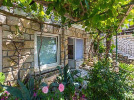 A stone building with a window and a door, surrounded by lush greenery and flowering plants.