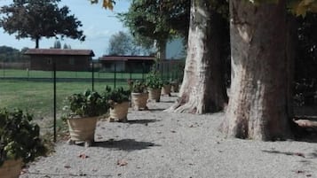 Área da propriedade