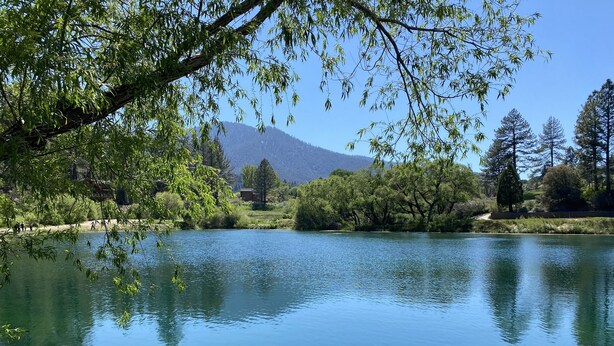 A serene lake surrounded by lush greenery and trees, with a clear view of the surrounding landscape. - Quail Run 4,000 Sq.Ft Largest and Most Beautiful Cabin On The Mountain (Pine Mountain Club)