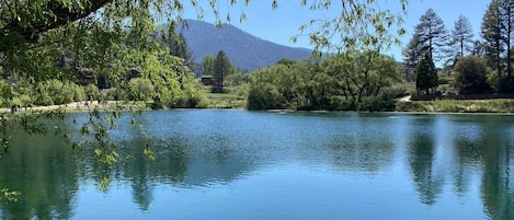 Lac